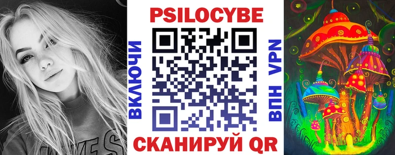 сколько стоит  Абинск  Псилоцибиновые грибы Cubensis 