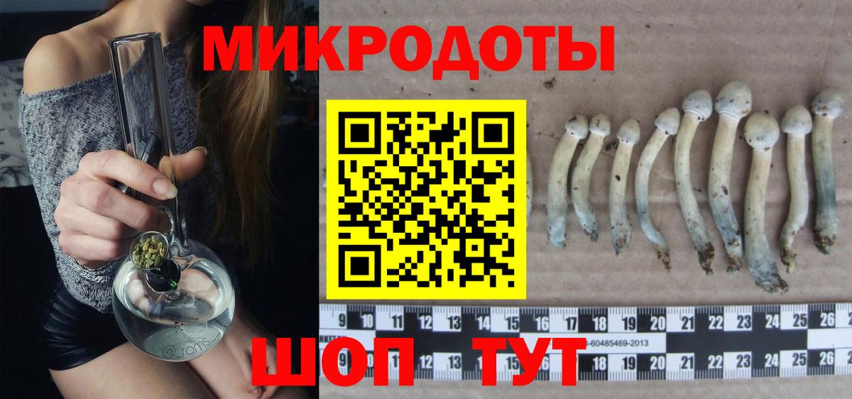 Галлюциногенные грибы GOLDEN TEACHER Абинск