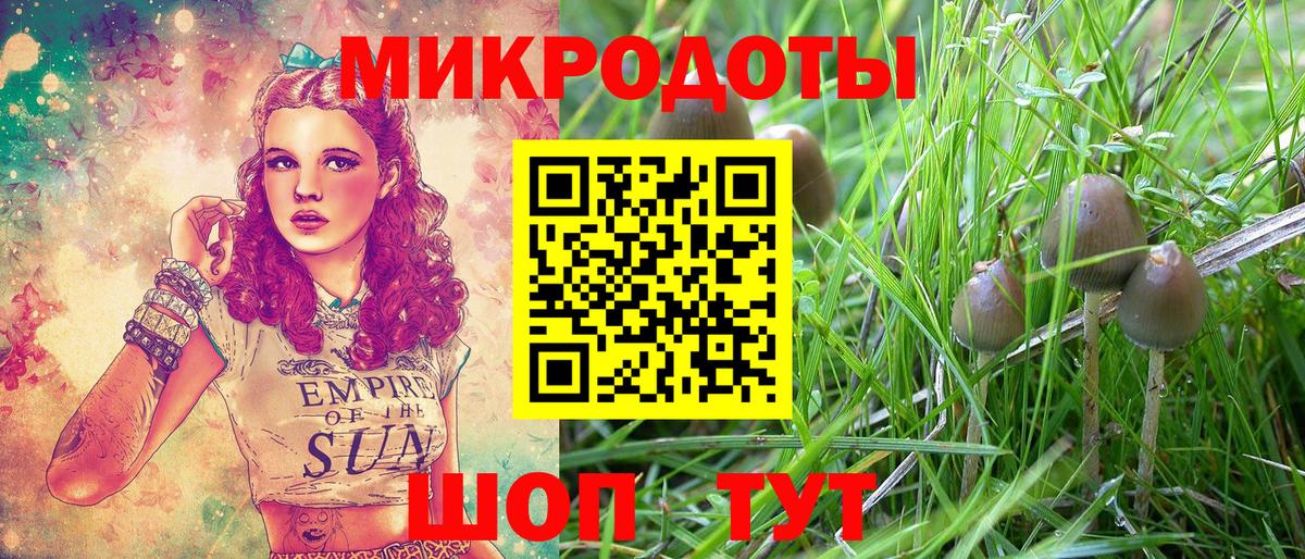 Абинск  Псилоцибиновые грибы Cubensis  Вход с VPN 